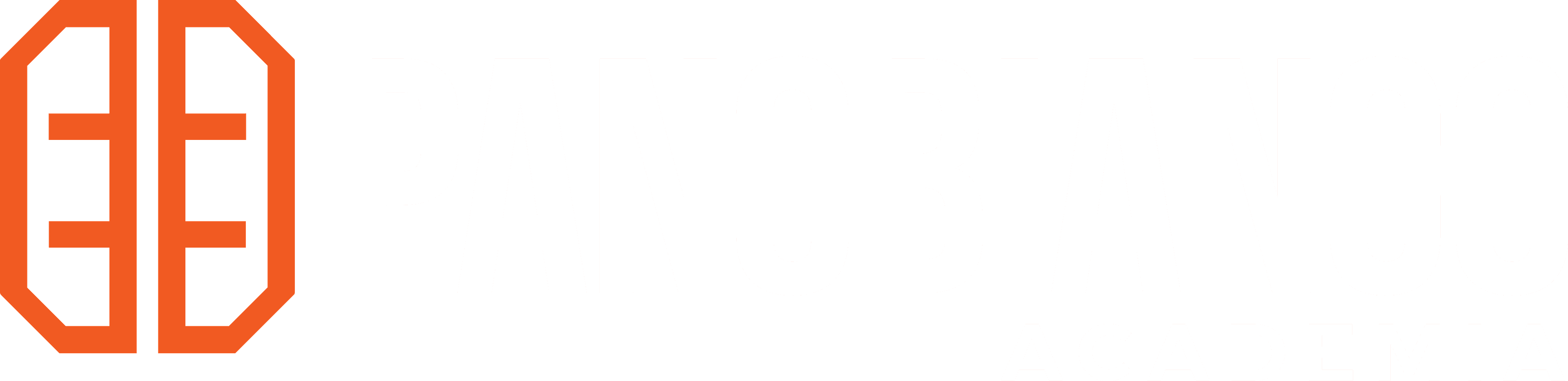 Panobianco Academia